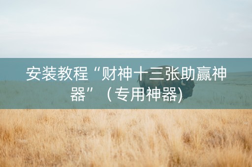 安装教程“财神十三张助赢神器”（专用神器)