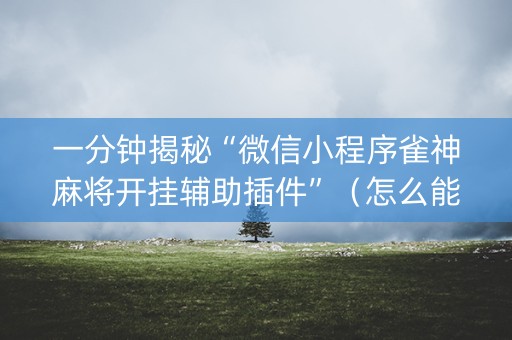 一分钟揭秘“微信小程序雀神麻将开挂辅助插件”（怎么能调好牌)