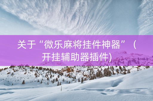 关于“微乐麻将挂件神器”（开挂辅助器插件)