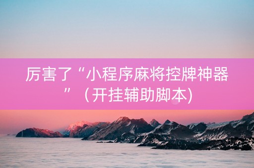 厉害了“小程序麻将控牌神器”（开挂辅助脚本)