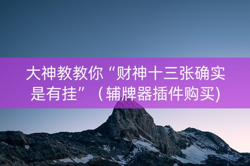 大神教教你“财神十三张确实是有挂”（辅牌器插件购买)