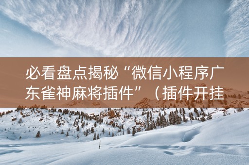 必看盘点揭秘“微信小程序广东雀神麻将插件”（插件开挂免费AI)