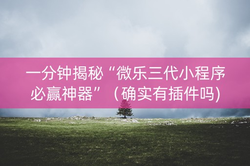 一分钟揭秘“微乐三代小程序必赢神器”（确实有插件吗)