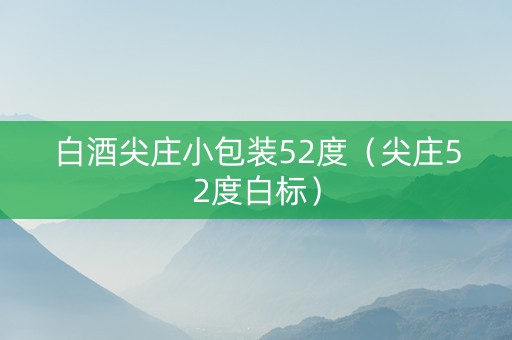 白酒尖庄小包装52度（尖庄52度白标）