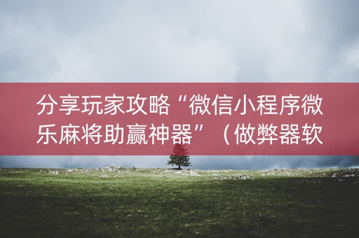 分享玩家攻略“微信小程序微乐麻将助赢神器”（做弊器软件下载)