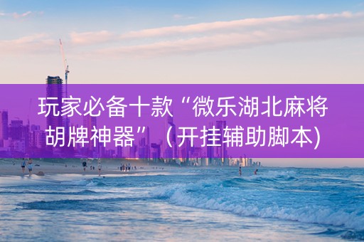 玩家必备十款“微乐湖北麻将胡牌神器”（开挂辅助脚本)