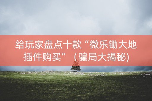 给玩家盘点十款“微乐锄大地插件购买”（骗局大揭秘)