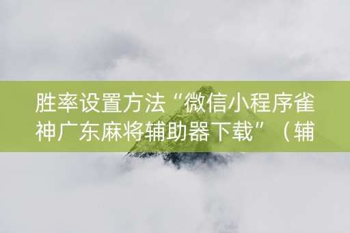 胜率设置方法“微信小程序雀神广东麻将辅助器下载”（辅助器插件)