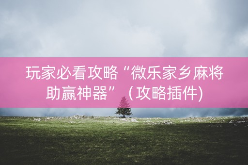 玩家必看攻略“微乐家乡麻将助赢神器”（攻略插件)