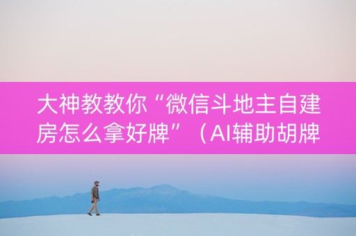 大神教教你“微信斗地主自建房怎么拿好牌”（AI辅助胡牌规则)