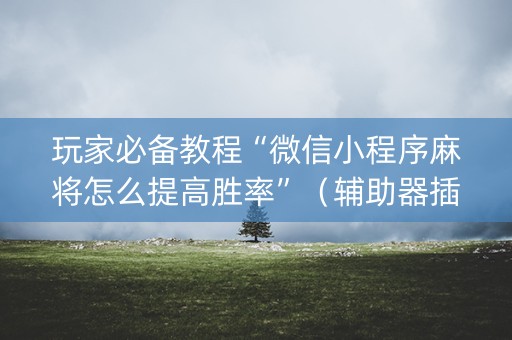 玩家必备教程“微信小程序麻将怎么提高胜率”（辅助器插件)