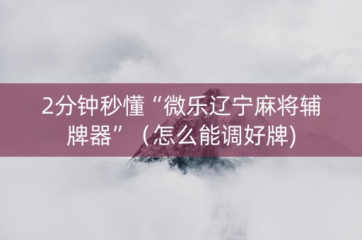 2分钟秒懂“微乐辽宁麻将辅牌器”（怎么能调好牌)