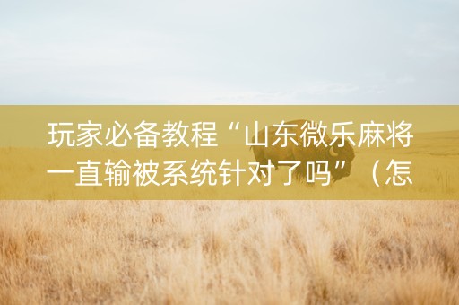 玩家必备教程“山东微乐麻将一直输被系统针对了吗”（怎么设置能有好牌)