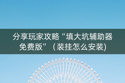 分享玩家攻略“填大坑辅助器免费版”（装挂怎么安装)