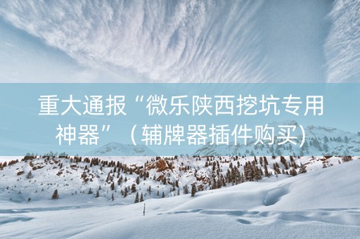 重大通报“微乐陕西挖坑专用神器”（辅牌器插件购买)