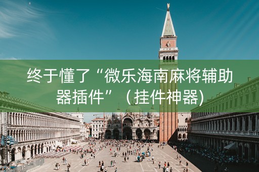 终于懂了“微乐海南麻将辅助器插件”（挂件神器)