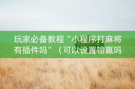 玩家必备教程“小程序打麻将有插件吗”（可以设置输赢吗)