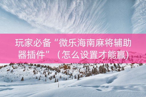 玩家必备“微乐海南麻将辅助器插件”（怎么设置才能赢)