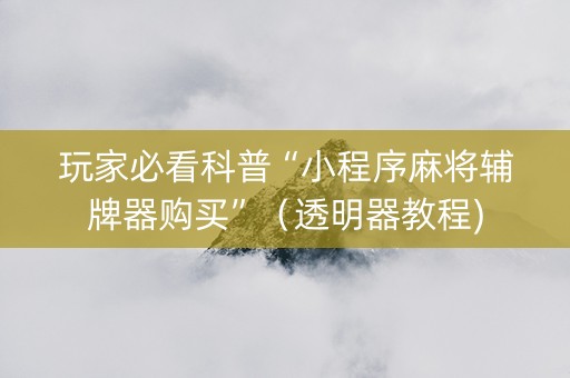 玩家必看科普“小程序麻将辅牌器购买”（透明器教程)