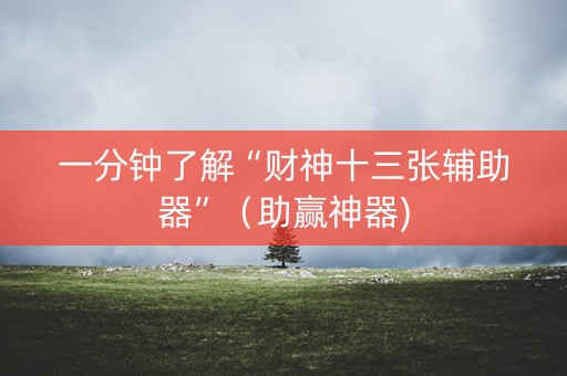 一分钟了解“财神十三张辅助器”（助赢神器)