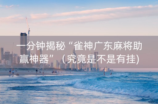 一分钟揭秘“雀神广东麻将助赢神器”（究竟是不是有挂)