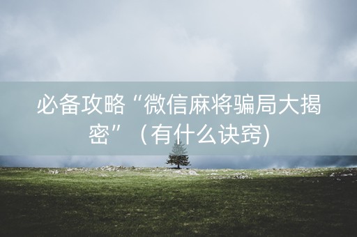 必备攻略“微信麻将骗局大揭密”（有什么诀窍)