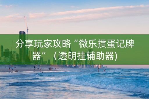 分享玩家攻略“微乐掼蛋记牌器”（透明挂辅助器)