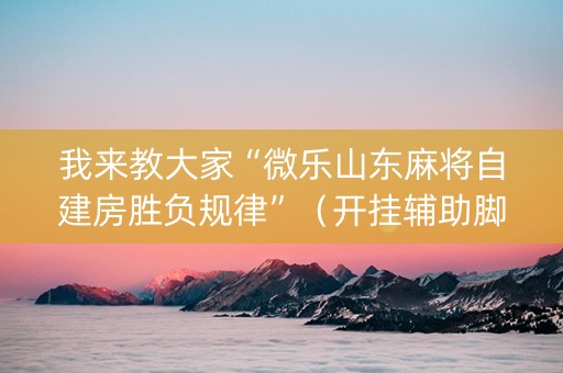 我来教大家“微乐山东麻将自建房胜负规律”（开挂辅助脚本)
