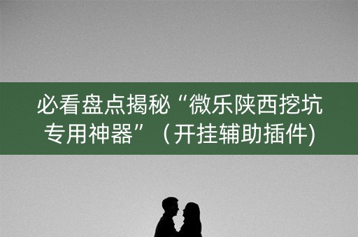 必看盘点揭秘“微乐陕西挖坑专用神器”（开挂辅助插件)