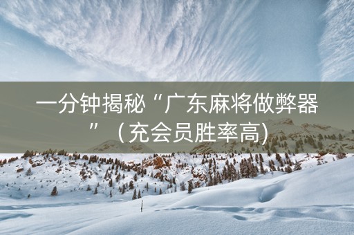 一分钟揭秘“广东麻将做弊器”（充会员胜率高)