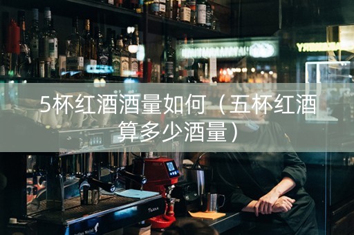 5杯红酒酒量如何（五杯红酒算多少酒量）