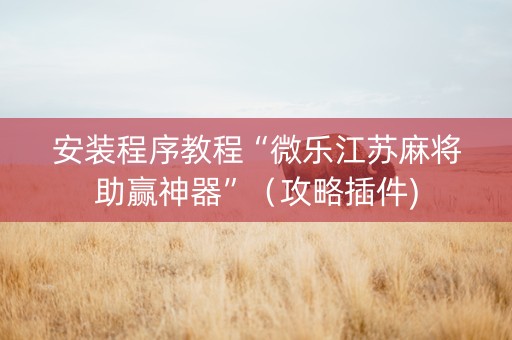 安装程序教程“微乐江苏麻将助赢神器”（攻略插件)