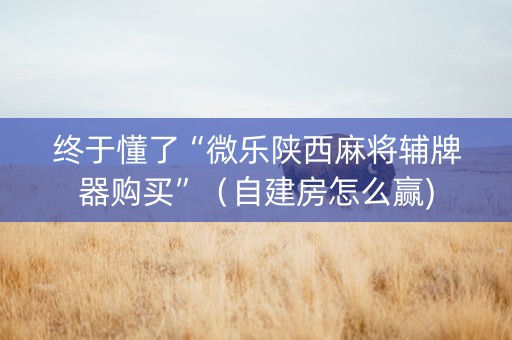 终于懂了“微乐陕西麻将辅牌器购买”（自建房怎么赢)