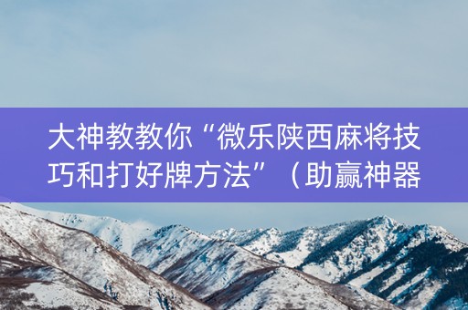 大神教教你“微乐陕西麻将技巧和打好牌方法”（助赢神器购买)