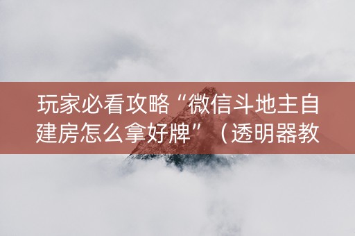玩家必看攻略“微信斗地主自建房怎么拿好牌”（透明器教程)