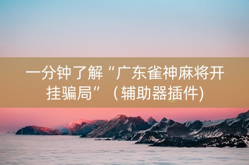 一分钟了解“广东雀神麻将开挂骗局”（辅助器插件)