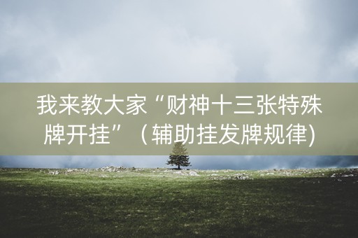 我来教大家“财神十三张特殊牌开挂”（辅助挂发牌规律)