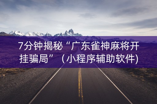 7分钟揭秘“广东雀神麻将开挂骗局”（小程序辅助软件)