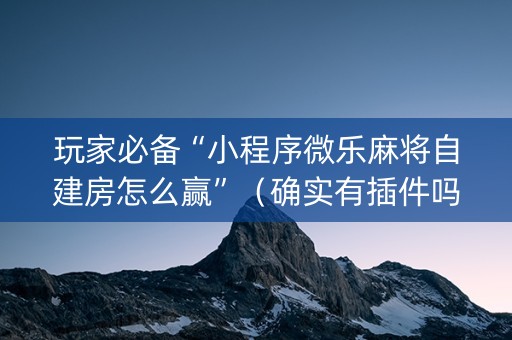 玩家必备“小程序微乐麻将自建房怎么赢”（确实有插件吗)