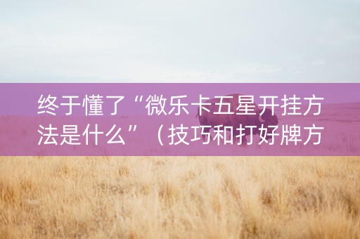 终于懂了“微乐卡五星开挂方法是什么”（技巧和打好牌方法)