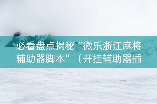 必看盘点揭秘“微乐浙江麻将辅助器脚本”（开挂辅助器插件)