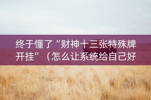 终于懂了“财神十三张特殊牌开挂”（怎么让系统给自己好牌)