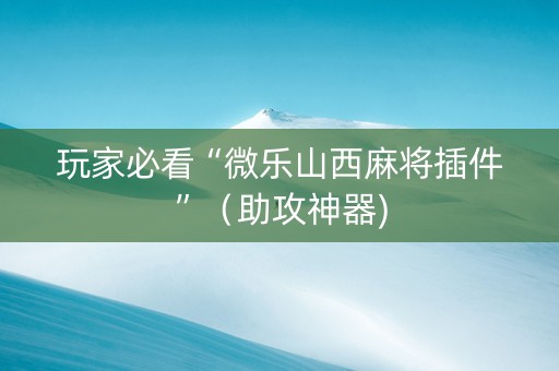 玩家必看“微乐山西麻将插件”（助攻神器)