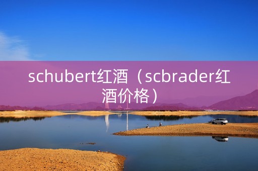 schubert红酒（scbrader红酒价格）