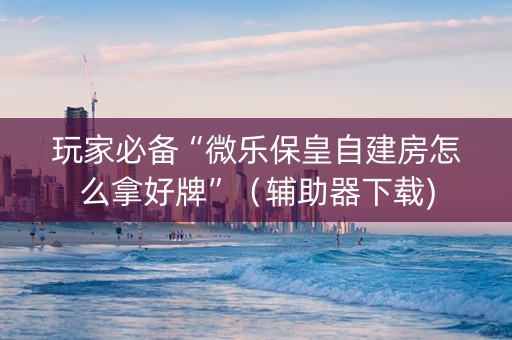 玩家必备“微乐保皇自建房怎么拿好牌”（辅助器下载)