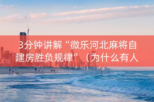 3分钟讲解“微乐河北麻将自建房胜负规律”（为什么有人一直赢)