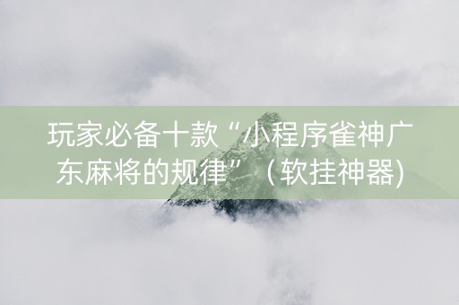玩家必备十款“小程序雀神广东麻将的规律”（软挂神器)