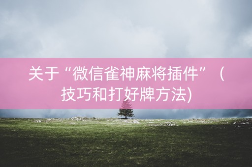 关于“微信雀神麻将插件”（技巧和打好牌方法)