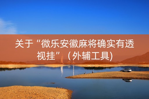 关于“微乐安徽麻将确实有透视挂”（外辅工具)