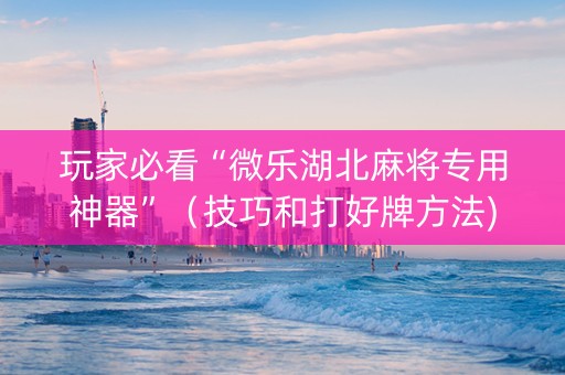 玩家必看“微乐湖北麻将专用神器”（技巧和打好牌方法)
